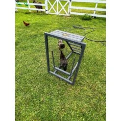 Zylina Play-N-Roost Roosting Ladder & Swing Bird Toy -Meadow Farm 855046 PT4. AC SS1800 V1686250555