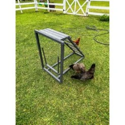 Zylina Play-N-Roost Roosting Ladder & Swing Bird Toy -Meadow Farm 855046 PT5. AC SS1800 V1686243410