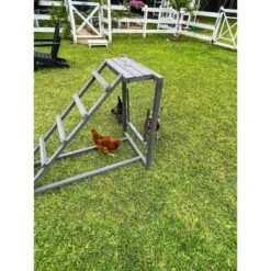 Zylina Play-N-Roost Roosting Ladder & Swing Bird Toy -Meadow Farm 855046 PT6. AC SS1800 V1686250419
