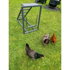Zylina Play-N-Roost Roosting Ladder & Swing Bird Toy -Meadow Farm 855046 PT7. AC SS1800 V1686247290