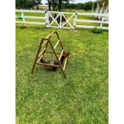 Zylina Play-N-Roost Roosting Ladder -Meadow Farm 855062 PT2. AC SS1800 V1686249891