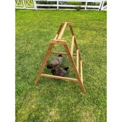 Zylina Play-N-Roost Roosting Ladder -Meadow Farm 855062 PT3. AC SS1800 V1686247352
