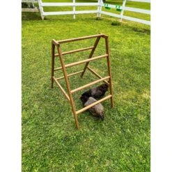 Zylina Play-N-Roost Roosting Ladder -Meadow Farm 855062 PT7. AC SS1800 V1686249442