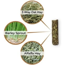 Medalist Sprout Pellets Pig & Goat Dry Food, 50-lb Bag 9 Medalist Sprout Pellets Pig & Goat Dry Food, 50-lb Bag -Meadow Farm 878190 PT3. AC SS1800 V1686246267