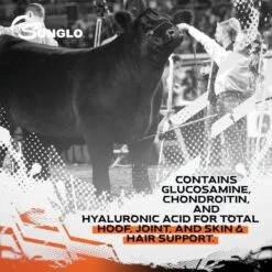 Sunglo In Motion Show Animal Joint, Hoof, & Skin Health Farm Animal Supplement, 14-lb Pail -Meadow Farm 888814 PT4. AC SS1800 V1691768091