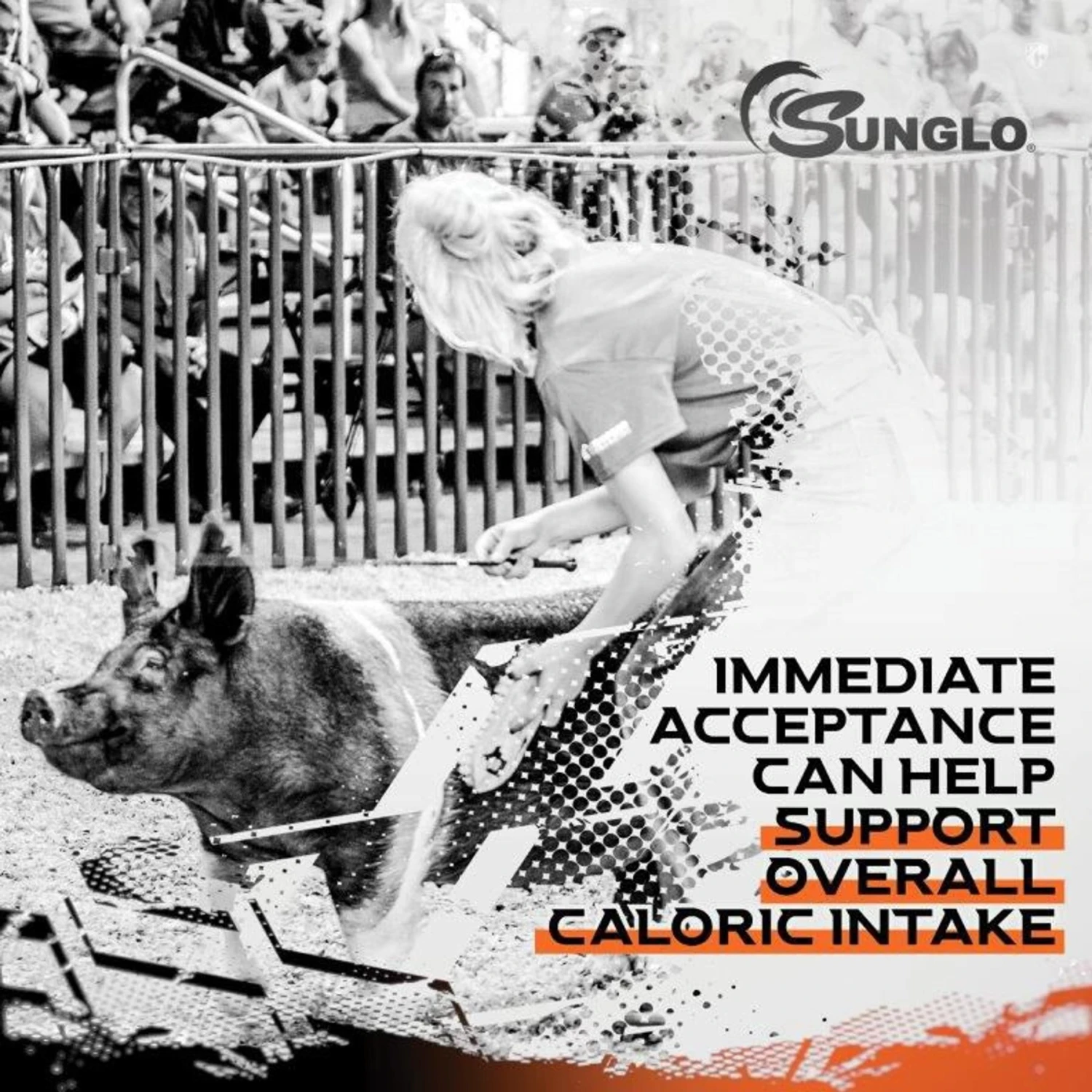 Sunglo Milk It! Non-Medicated Milk Replacer Show Pig Supplement, 25-lb Bag 5 Sunglo Milk It! Non-Medicated Milk Replacer Show Pig Supplement, 25-lb Bag - Image 5