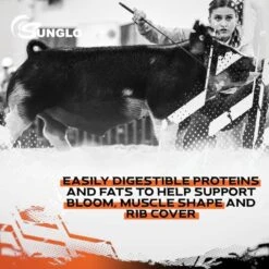 Sunglo Milk It! Non-Medicated Milk Replacer Show Pig Supplement, 25-lb Bag 13 Sunglo Milk It! Non-Medicated Milk Replacer Show Pig Supplement, 25-lb Bag -Meadow Farm 888830 PT5. AC SS1800 V1691006530