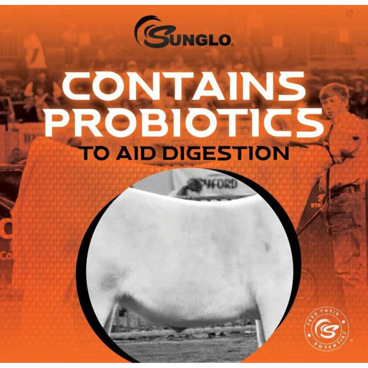 Sunglo Full Tank Pelleted Show Animal Cattle, Sheep, & Goat Supplement, 50-lb Bag 5 Sunglo Full Tank Pelleted Show Animal Cattle, Sheep, & Goat Supplement, 50-lb Bag - Image 5