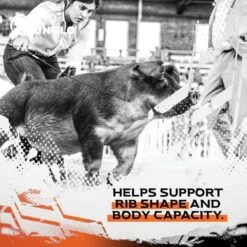 Sunglo Full Tank Pelleted Show Animal Cattle, Sheep, & Goat Supplement, 50-lb Bag 15 Sunglo Full Tank Pelleted Show Animal Cattle, Sheep, & Goat Supplement, 50-lb Bag -Meadow Farm 888846 PT6. AC SS1800 V1691007098