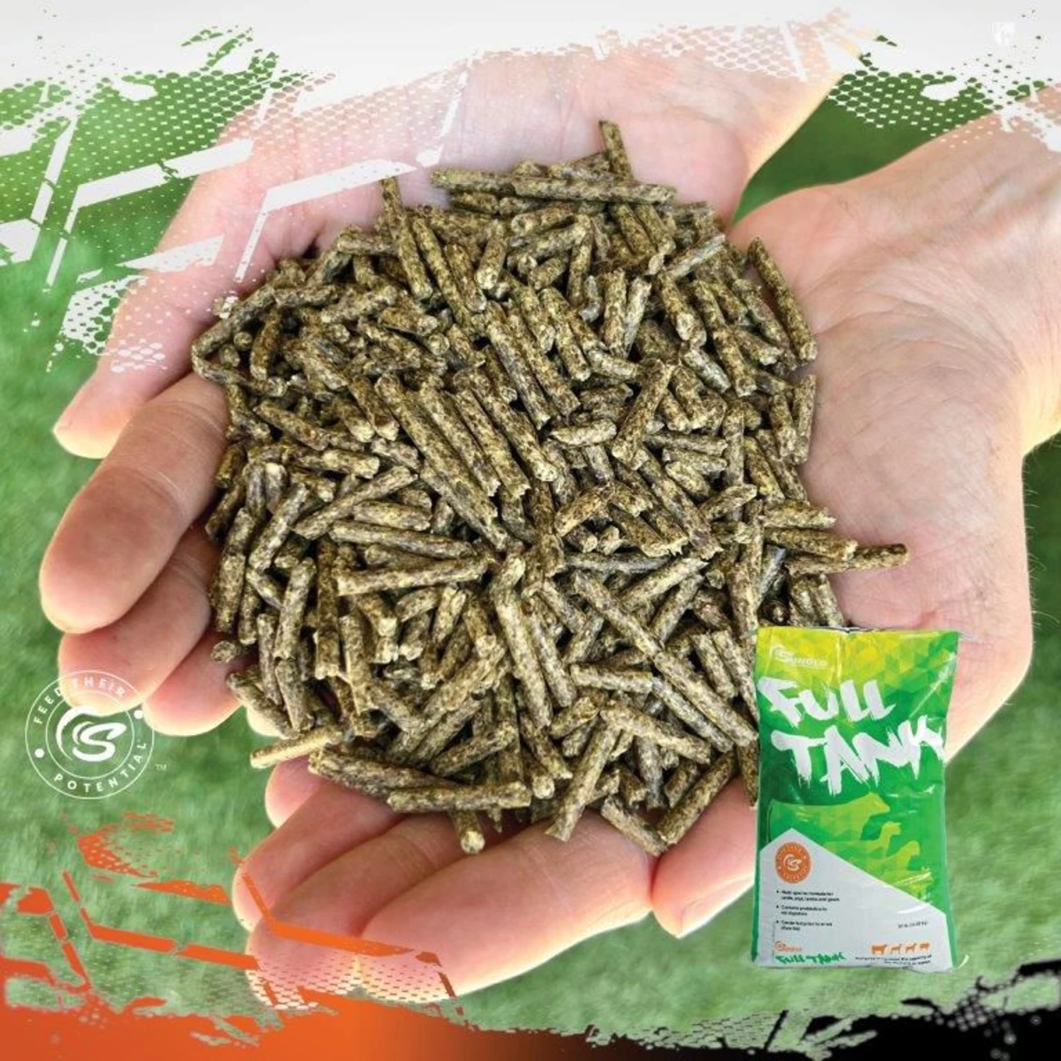 Sunglo Full Tank Pelleted Show Animal Cattle, Sheep, & Goat Supplement, 50-lb Bag 8 Sunglo Full Tank Pelleted Show Animal Cattle, Sheep, & Goat Supplement, 50-lb Bag - Image 8