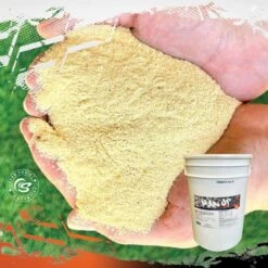 Sunglo Man Up Show Animal Cattle Supplement, 30-lb Bucket -Meadow Farm 888878 PT7. AC SS1800 V1691006599