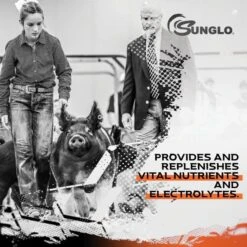 Sunglo 4Sure Show Animal Nutritional Swine, Cattle, Sheep & Goat Supplement -Meadow Farm 888926 PT3. AC SS1800 V1691006575