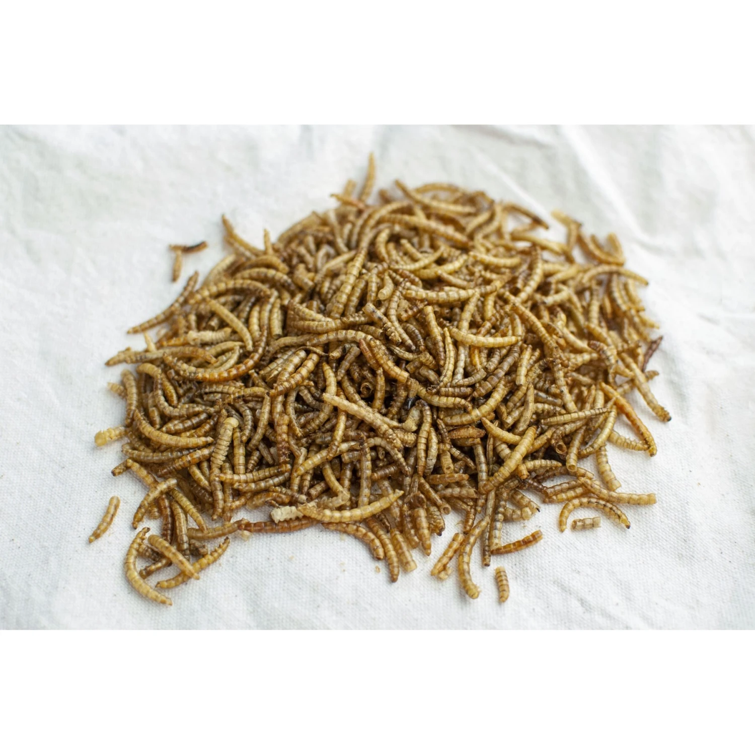 Happy Hen Treats Mealworm Frenzy Poultry Treats 2 Happy Hen Treats Mealworm Frenzy Poultry Treats - Image 2