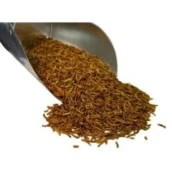 Bar ALE Tillie's Treats Dried Mealworms Chicken Treats -Meadow Farm 952118 PT2. AC SS1800 V1703619986