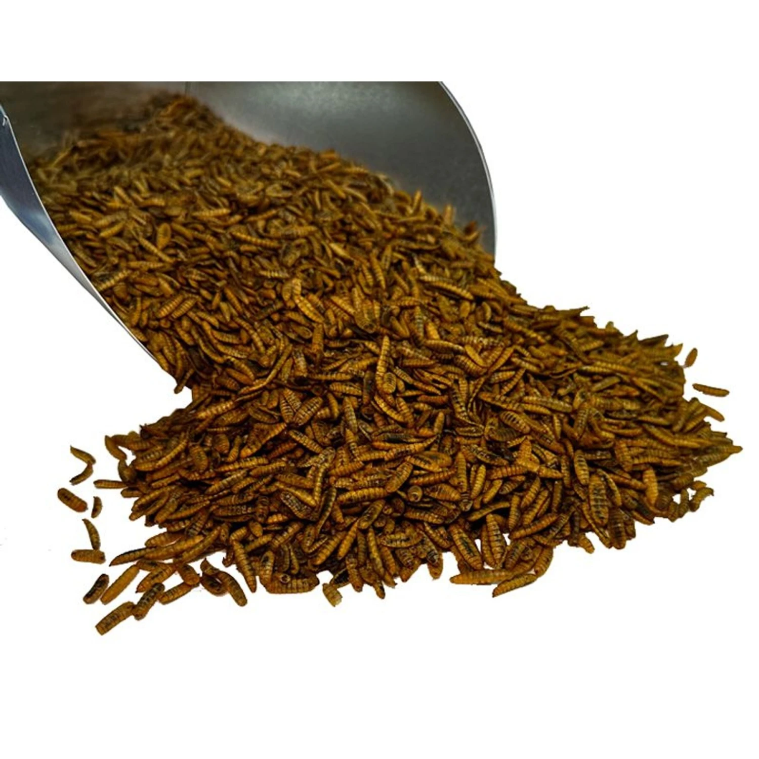Bar ALE Super Grubs Dried Black Soldier Fly Larvae Chicken Treats 3 Bar ALE Super Grubs Dried Black Soldier Fly Larvae Chicken Treats - Image 3