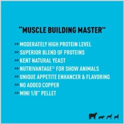 Kent ShowBoss Final Drive Show Livestock Feed, 25-lb Bag -Meadow Farm 953198 PT3. AC SS1800 V1694623175