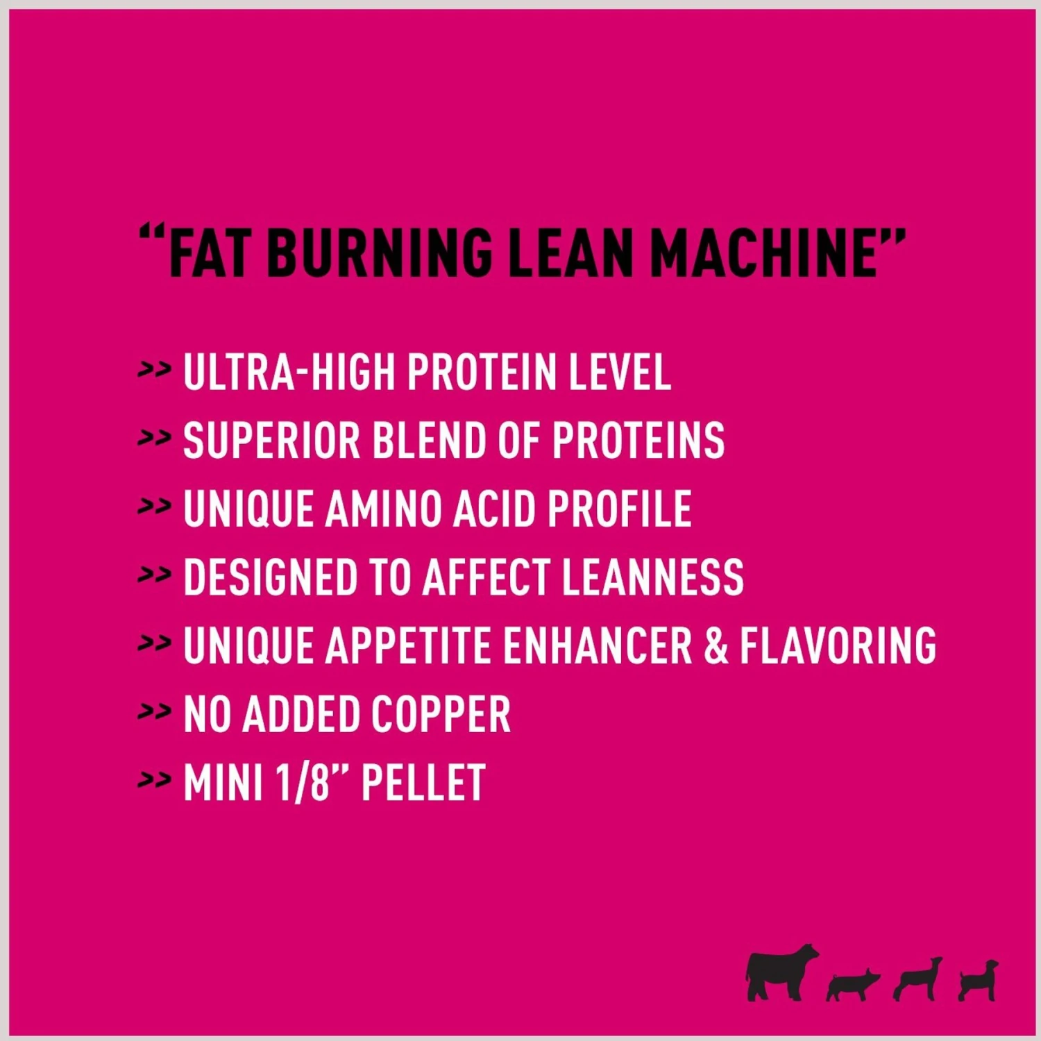 Kent ShowBoss Fit N Finish Show Livestock Feed, 40-lb Bag 3 Kent ShowBoss Fit N Finish Show Livestock Feed, 40-lb Bag - Image 3