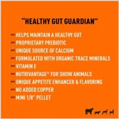 Kent ShowBoss Biomend Show Livestock Supplement, 25-lb Bag -Meadow Farm 953262 PT3. AC SS1800 V1694624326