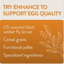FlockLeader Enhance Functional Poultry Treat -Meadow Farm 959262 PT4. AC SS1800 V1696260442