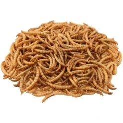 Brown's Garden Chic! Dried Mealworms For Wild Birds 10 Brown's Garden Chic! Dried Mealworms For Wild Birds -Meadow Farm 96853 PT4. AC SS1800 V1668025455