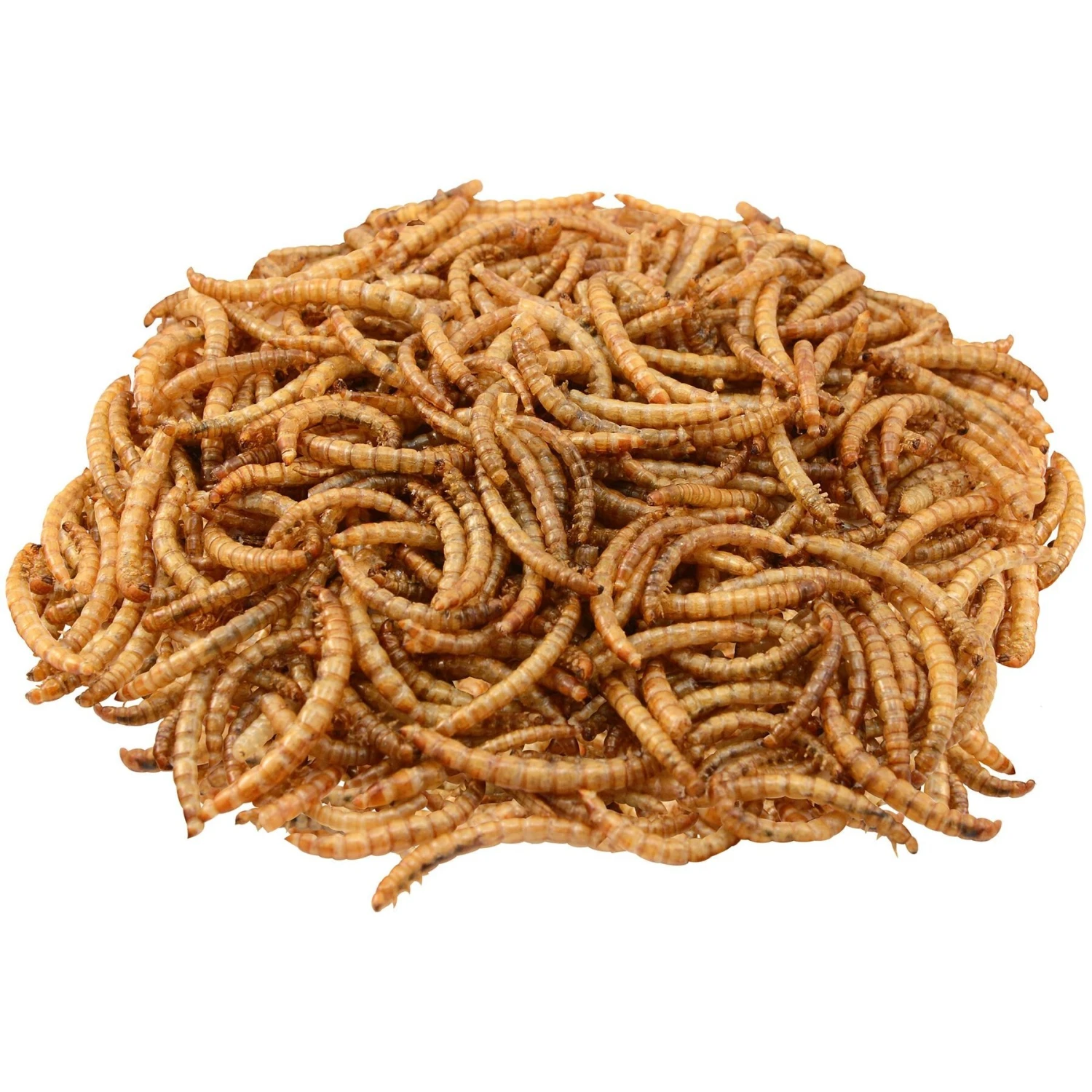 Brown's Garden Chic! Dried Mealworms For Wild Birds 5 Brown's Garden Chic! Dried Mealworms For Wild Birds - Image 5