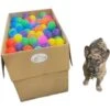 Piggy Poo And Crew 3.15-in Crush Proof Ball Pit 500 Jumbo Balls, Assorted Colors