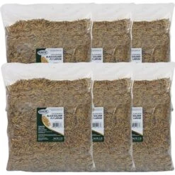 Exotic Nutrition Dried Black Soldier Fly Larvae Chicken Feed