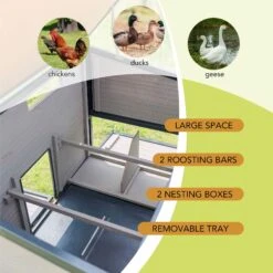 Win World Free-Range Chicken Coop, 2 To 4 Chicken Capacity -Meadow Farm 992382 PT4. AC SS1800 V1700599356