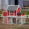 Win World Blooming Chicken Coop, 3 To 4 Chicken Capacity