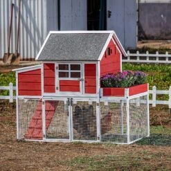 Win World Blooming Chicken Coop, 3 To 4 Chicken Capacity